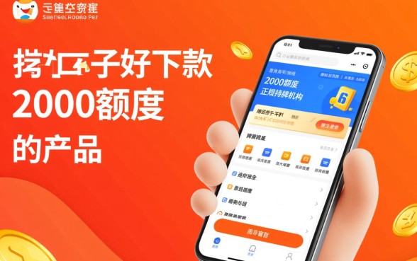 跟借款大王一样好下款的口子有哪些
