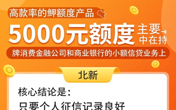 人人5000近期下款率高吗