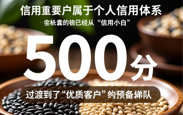 2026芝麻分600必下的口子 2026芝麻分600必下的口子