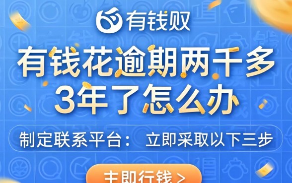 有钱花逾期两千多3年了怎么办