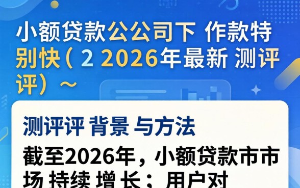 有哪些小额贷款公司下款特别快 有哪些小额贷款公司下款特别快
