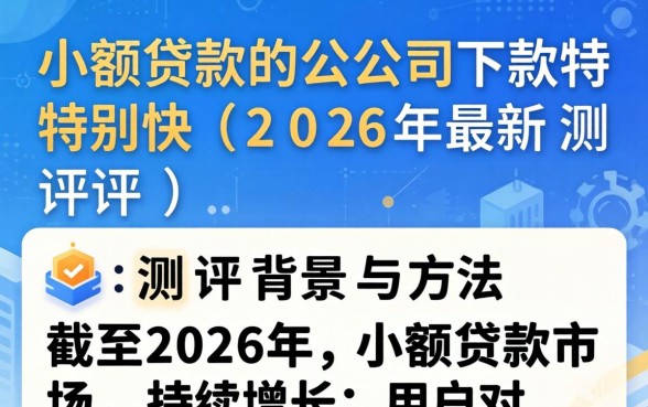 有哪些小额贷款公司下款特别快 有哪些小额贷款公司下款特别快