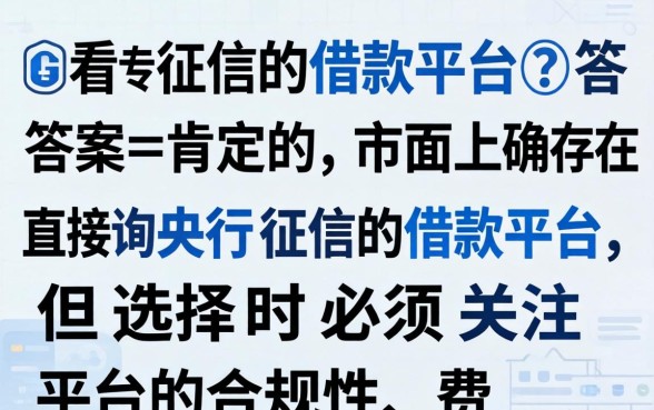 能否找到不查看征信的借款平台