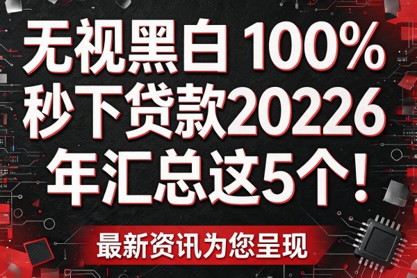 无视黑白100%秒下贷款2026年汇总这5个！最新资讯为您呈现！