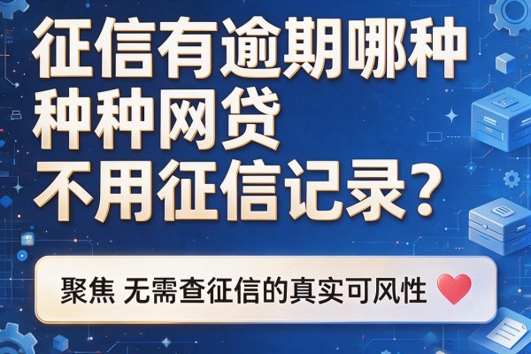 征信有逾期哪种网贷不用征信记录？聚焦无需查征信的真实可能性与风险