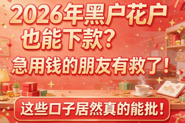 2026年黑户花户也能下款？急用钱的朋友有救了！这些口子居然真的能批！