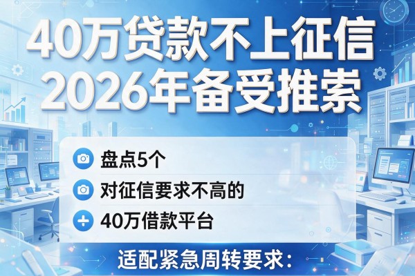 40万贷款不上征信2026年备受推崇，盘点5个对征信要求不高的40万借款平台适配紧急周转